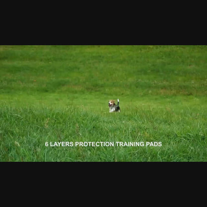 Extra Large Thick Dog Pee Pads 100 Count Heavy Duty Puppy Training Pads